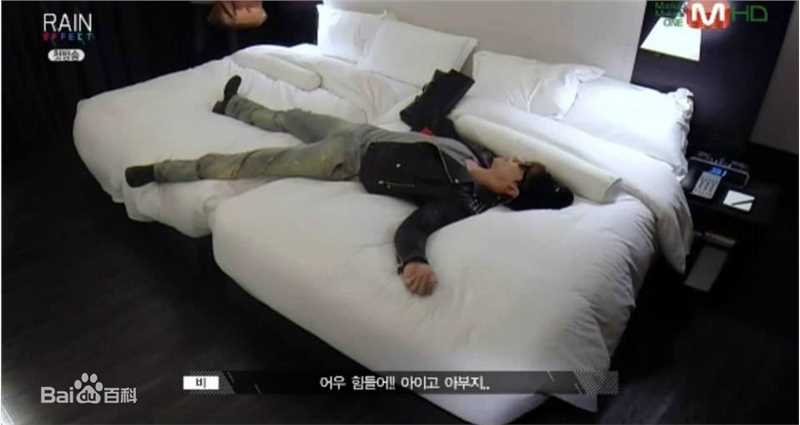 郑智薰(英文名:Rain 韩文名：  罗马拼音：Jung Ji Hoon)Rain Effect 真人秀图册