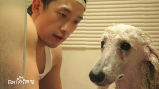 郑智薰(英文名:Rain 韩文名：  罗马拼音：Jung Ji Hoon)Rain Effect 真人秀图册