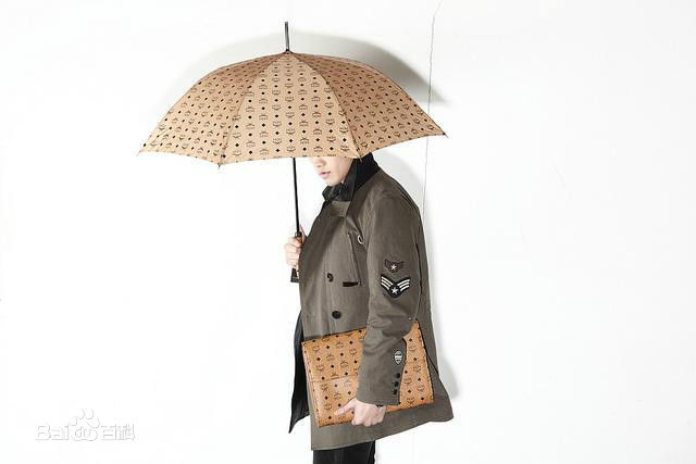 郑智薰(英文名:Rain 韩文名：  罗马拼音：Jung Ji Hoon)广告代言壁纸壁纸