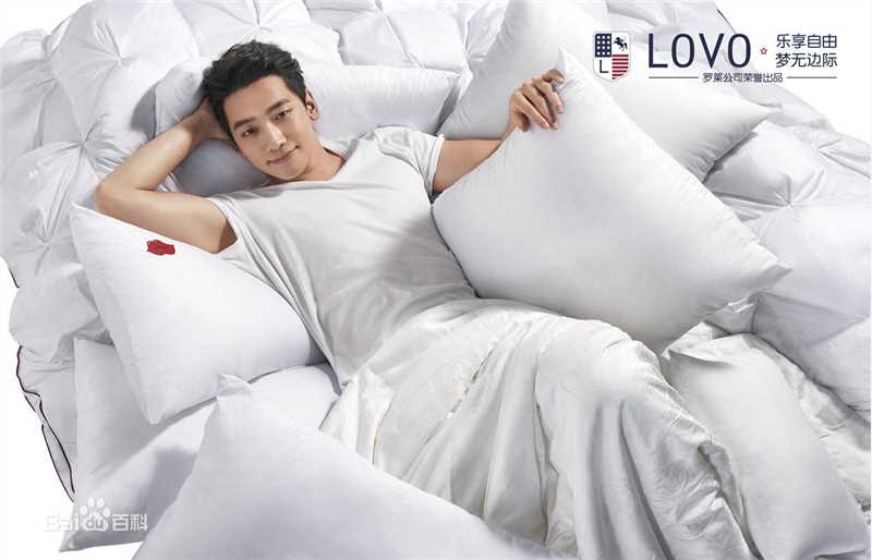 郑智薰(英文名:Rain 韩文名：  罗马拼音：Jung Ji Hoon)广告代言壁纸壁纸