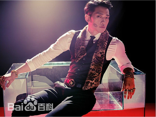 郑智薰(英文名:Rain 韩文名：  罗马拼音：Jung Ji Hoon)专辑美图图片图册