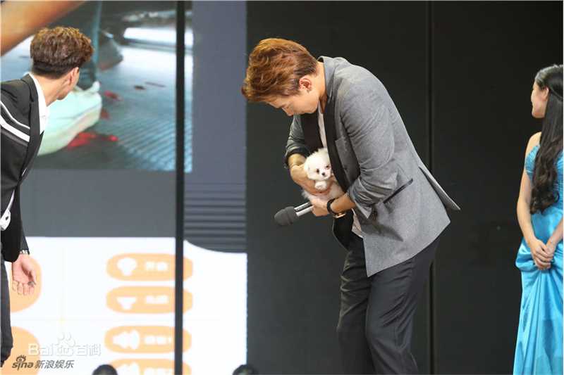 郑智薰(英文名:Rain 韩文名：  罗马拼音：Jung Ji Hoon)天天向上壁纸壁纸