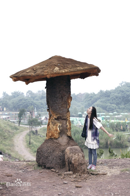 张粤(didi)生活照图片图册