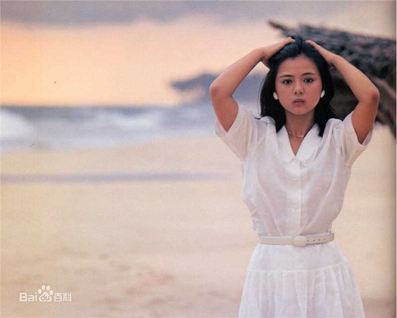 药师丸 博子(薬師丸 博子)博子的早年集