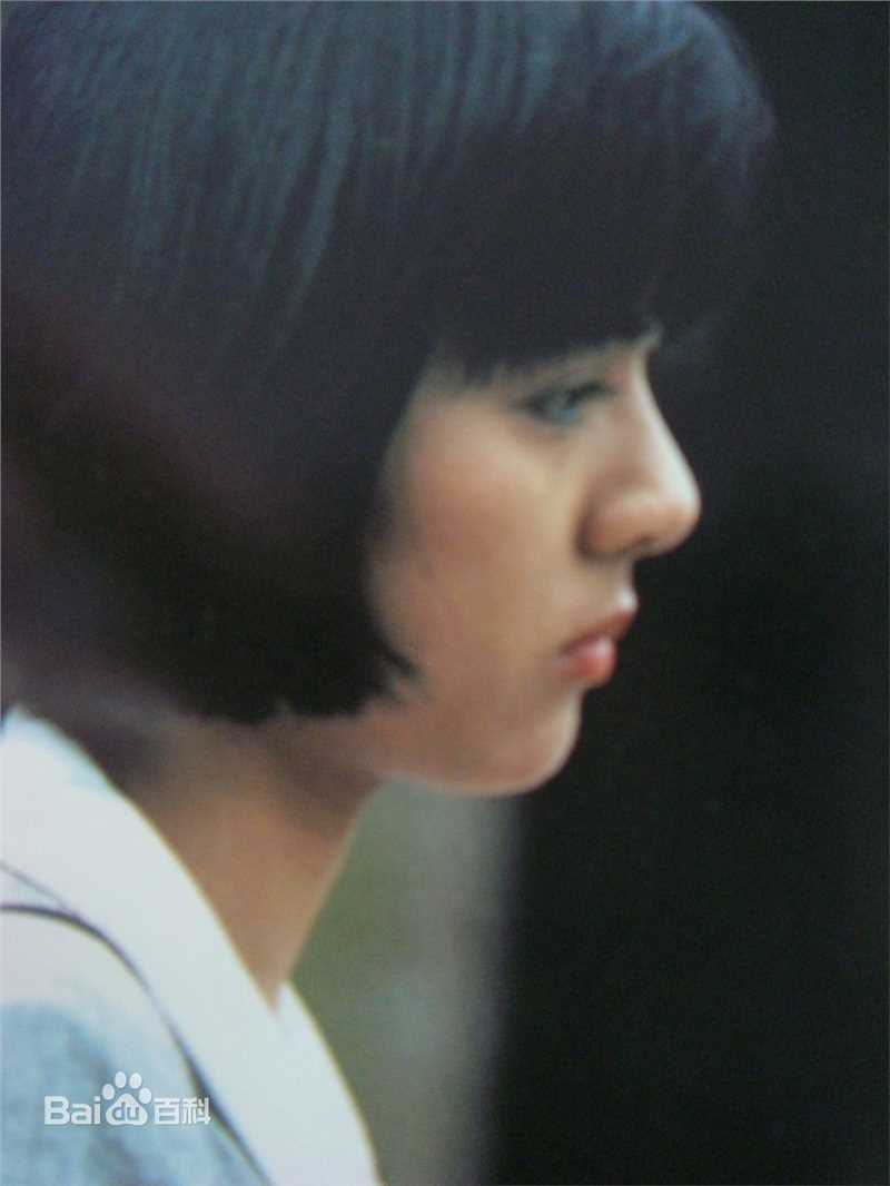 药师丸 博子(薬師丸 博子)博子的早年集