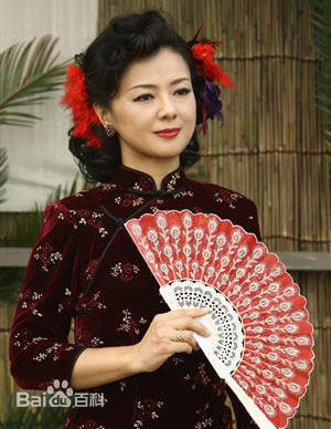 药师丸 博子(薬師丸 博子)舞台工作照和影视最优质剧照