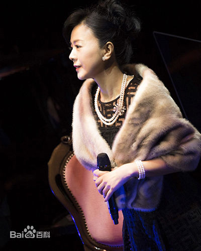 药师丸 博子(薬師丸 博子)舞台工作照和影视最优质剧照