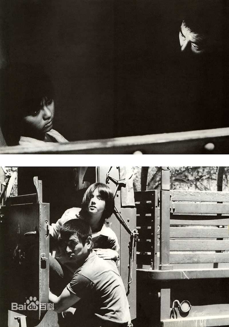 药师丸 博子(薬師丸 博子)舞台工作照和影视最优质剧照