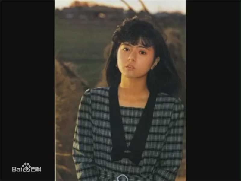 高清药师丸 博子(薬師丸 博子)药师丸博子精彩图册