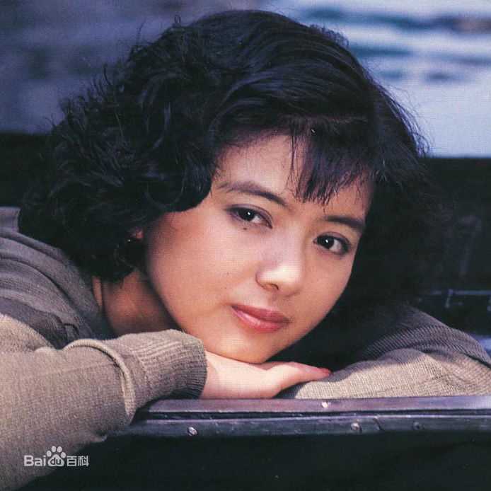 最新药师丸 博子(薬師丸 博子)壁纸