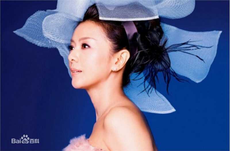 最新药师丸 博子(薬師丸 博子)壁纸