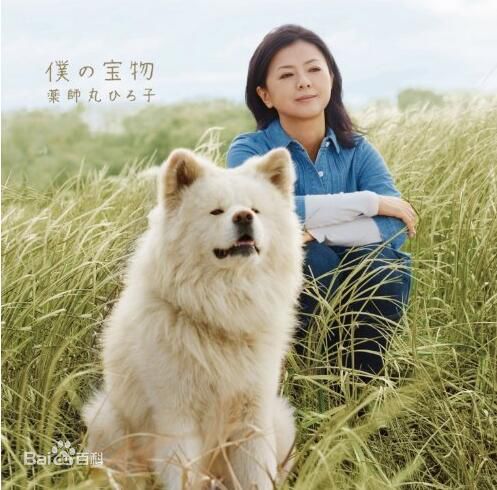 最新药师丸 博子(薬師丸 博子)壁纸