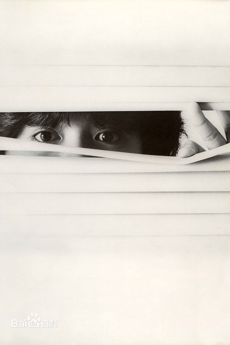 最新药师丸 博子(薬師丸 博子)壁纸