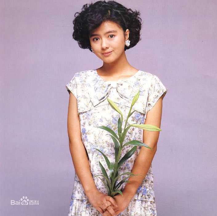 最新药师丸 博子(薬師丸 博子)壁纸