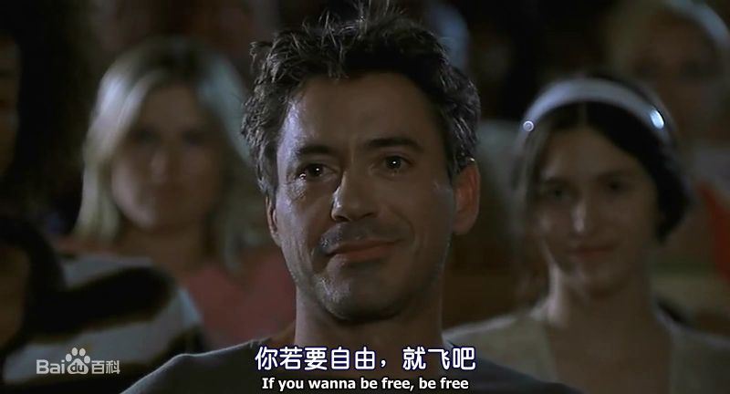 精选小罗伯特·唐尼(Robert John Downey Jr.)精彩图册