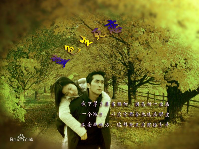 尹锡湖(Yoon Suk Ho)在导演作品《蓝色生死恋》中的