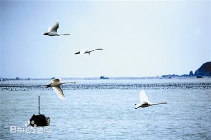 最全尹锡湖(Yoon Suk Ho)在导演作品《冬季恋歌》中的壁纸