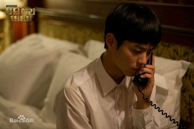 最优质朴宝剑(|Park Bo Gum)在《请回答1988》中的相册