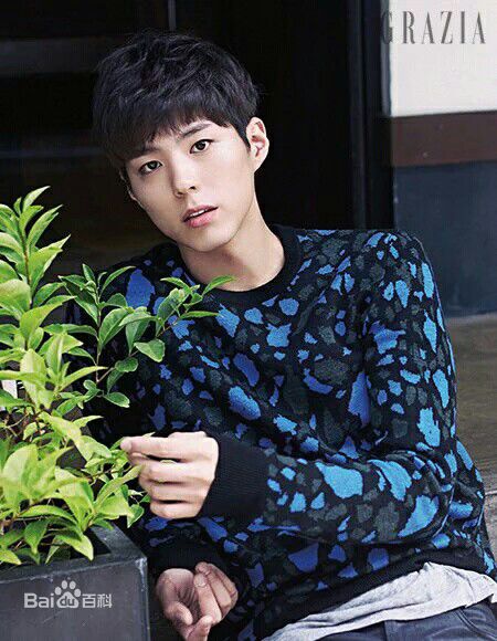 朴宝剑(|Park Bo Gum)精选杂志(2015)图册