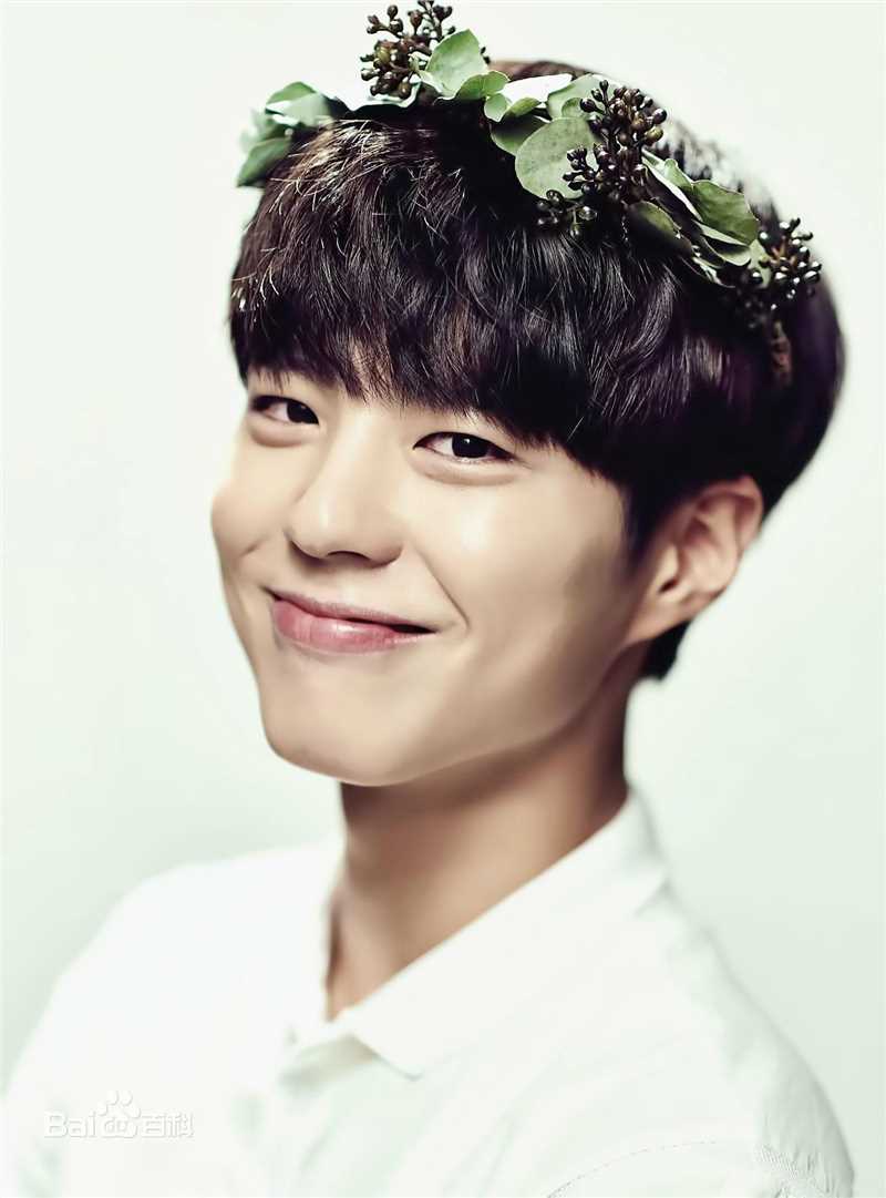 朴宝剑(|Park Bo Gum)精选杂志(2015)图册