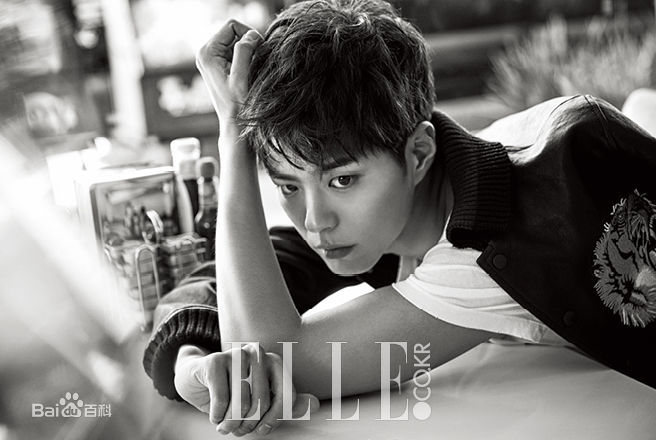 朴宝剑(|Park Bo Gum)ELLE图片图集