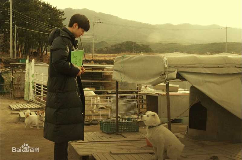 最优质朴宝剑(|Park Bo Gum)在《真是好时节》中的相册