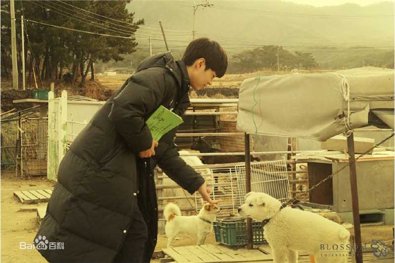 最优质朴宝剑(|Park Bo Gum)在《真是好时节》中的相册