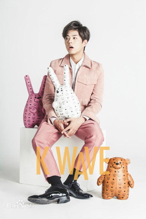 朴宝剑(|Park Bo Gum)杂志