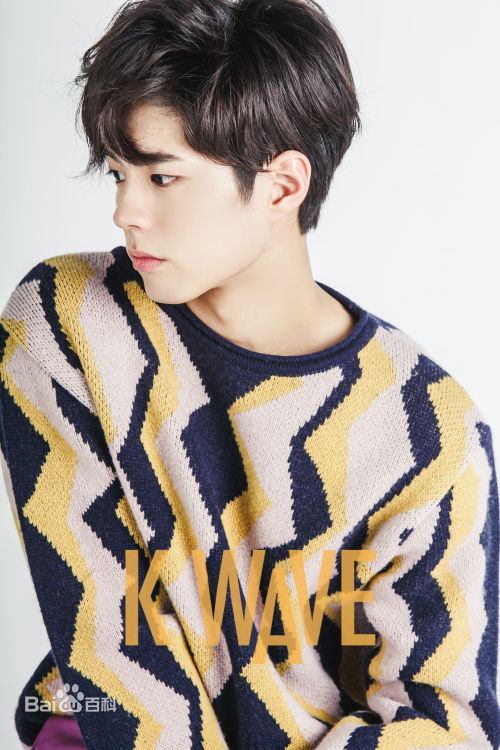 朴宝剑(|Park Bo Gum)杂志
