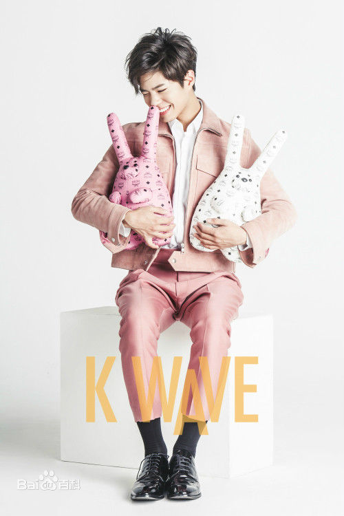 朴宝剑(|Park Bo Gum)杂志