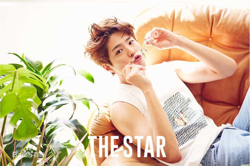朴宝剑(|Park Bo Gum)THE STAR性感图片图集