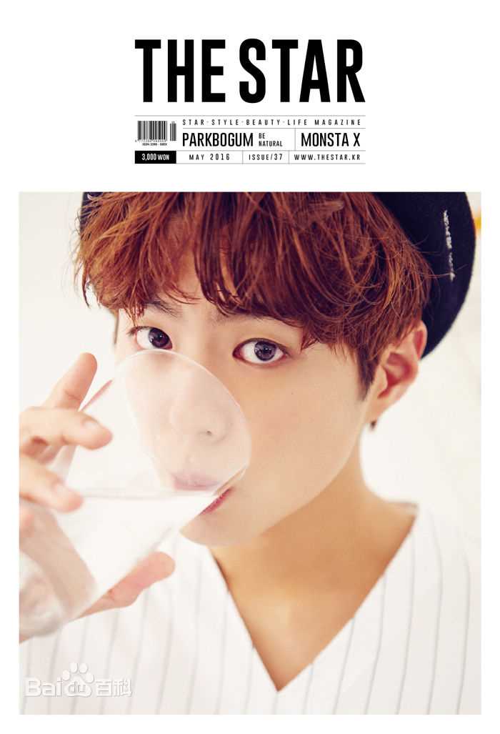 朴宝剑(|Park Bo Gum)THE STAR性感图片图集