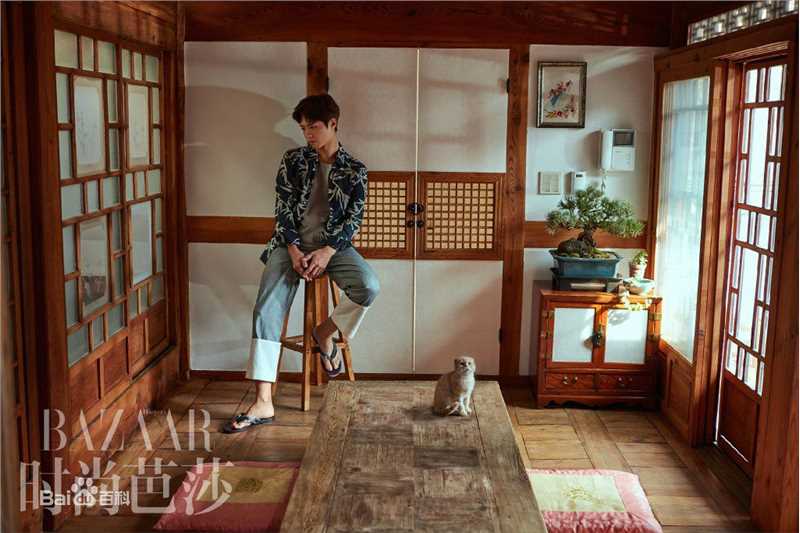 朴宝剑(|Park Bo Gum)时尚芭莎性感图片壁纸