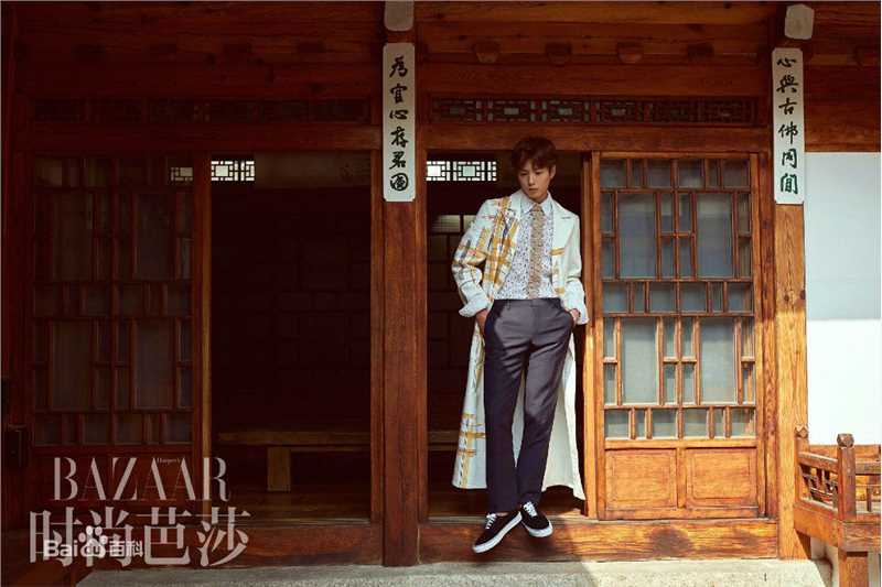 朴宝剑(|Park Bo Gum)时尚芭莎性感图片壁纸