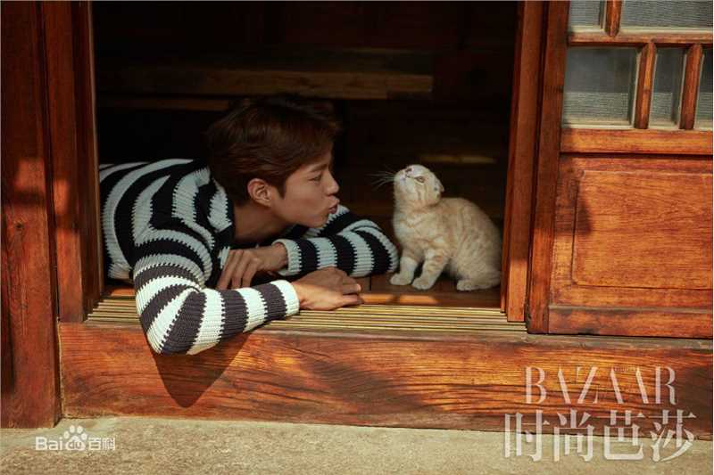 朴宝剑(|Park Bo Gum)时尚芭莎性感图片壁纸