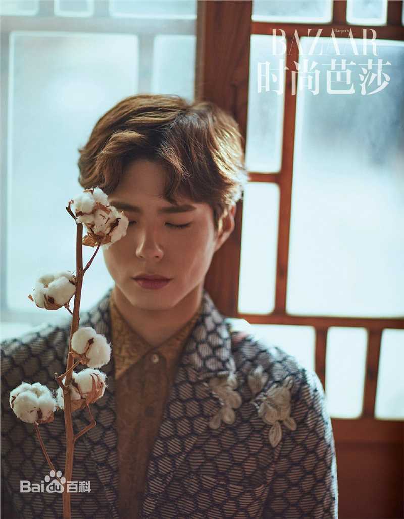 朴宝剑(|Park Bo Gum)时尚芭莎性感图片壁纸