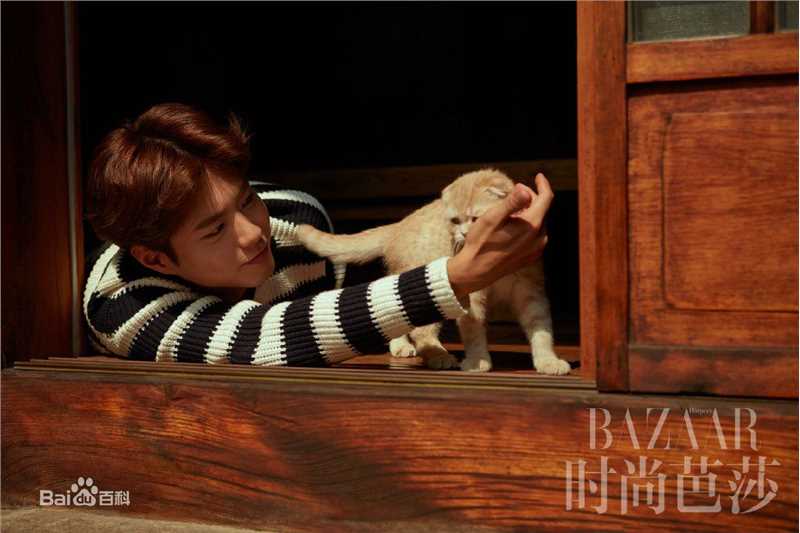 朴宝剑(|Park Bo Gum)时尚芭莎性感图片壁纸