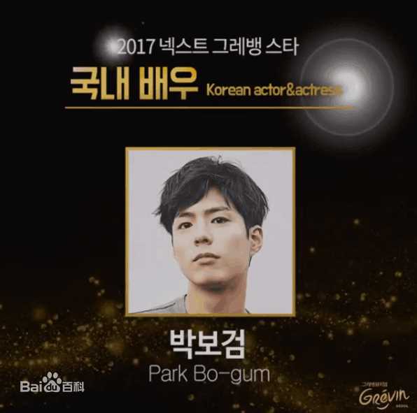朴宝剑(|Park Bo Gum)获奖图集壁纸壁纸