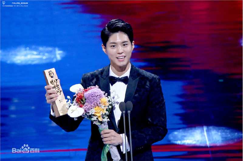 朴宝剑(|Park Bo Gum)百想艺术大赏壁纸壁纸