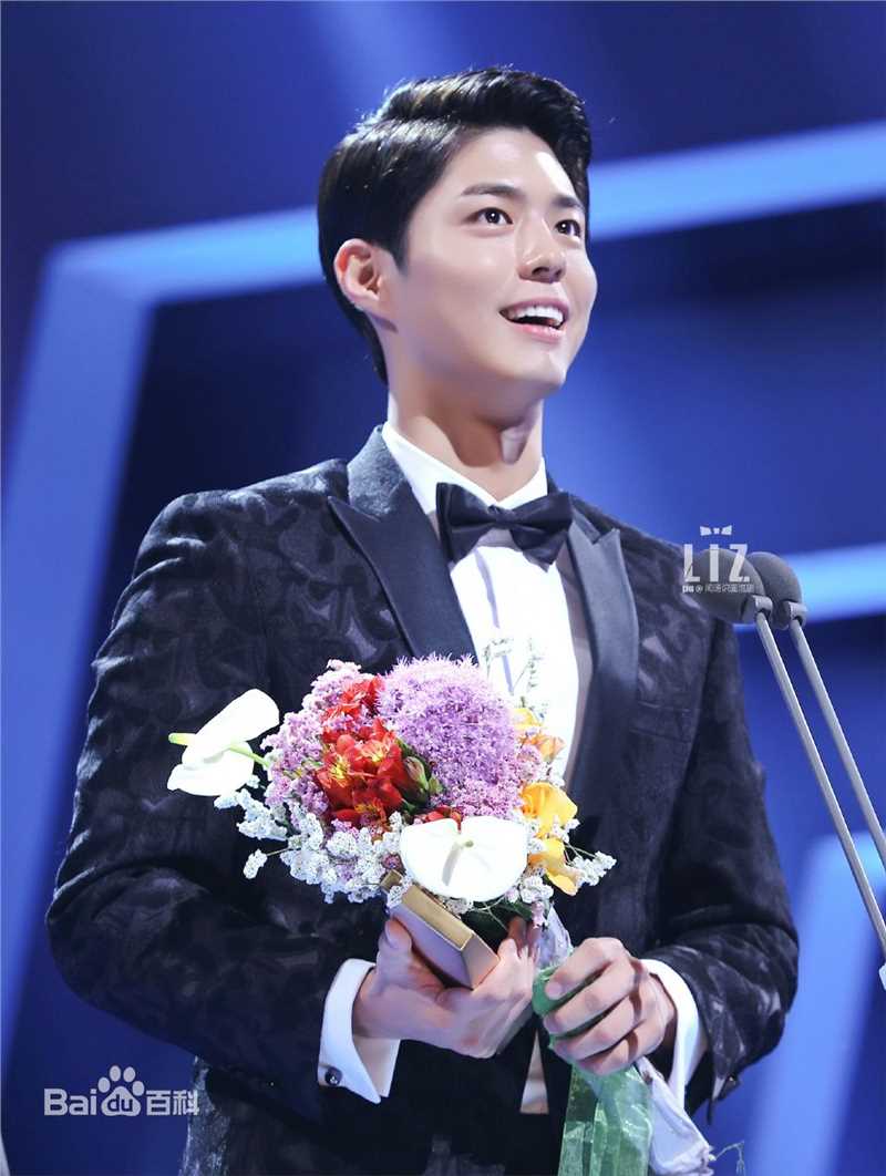 朴宝剑(|Park Bo Gum)百想艺术大赏壁纸壁纸