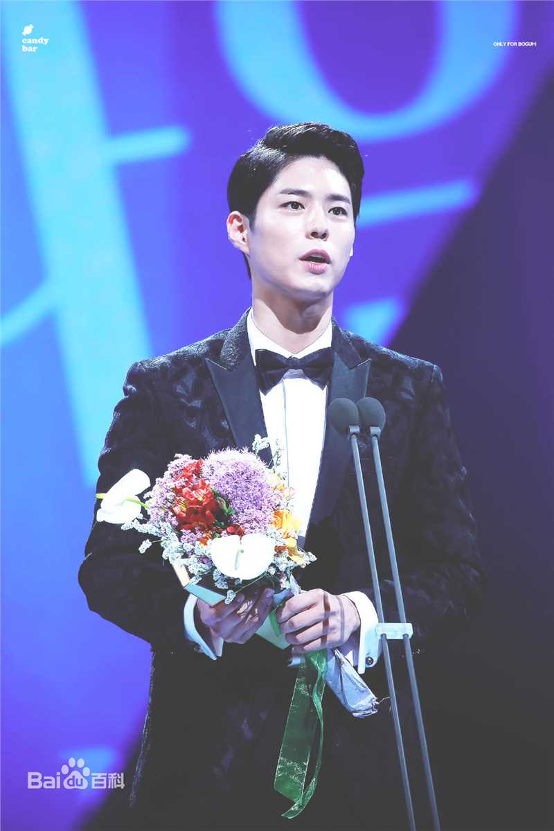 朴宝剑(|Park Bo Gum)百想艺术大赏壁纸壁纸