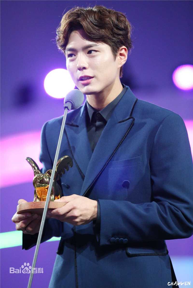 朴宝剑(|Park Bo Gum)SIA亚洲风尚大典性感图片图集