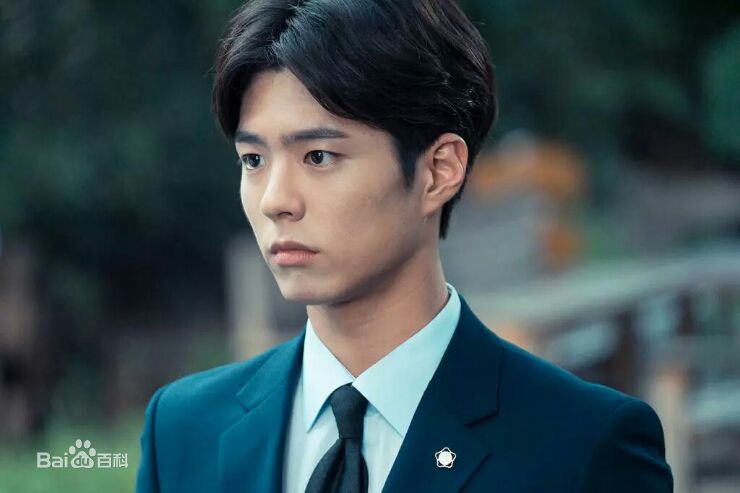 朴宝剑(|Park Bo Gum)高清剧照综合