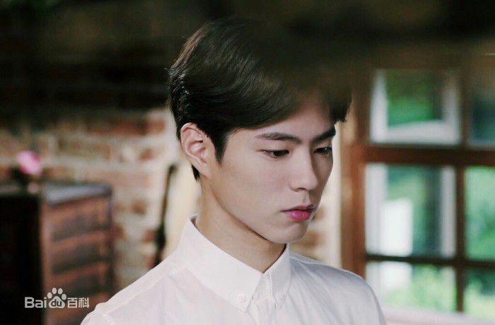 朴宝剑(|Park Bo Gum)排行榜投票类荣誉图册