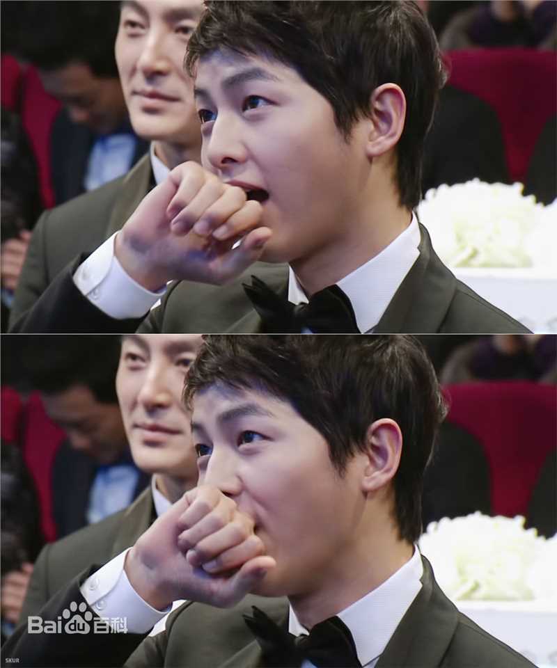 宋仲基(Song Joong Ki)KBS演技大赏（2012）性感图片图集