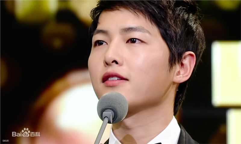 宋仲基(Song Joong Ki)KBS演技大赏（2012）性感图片图集