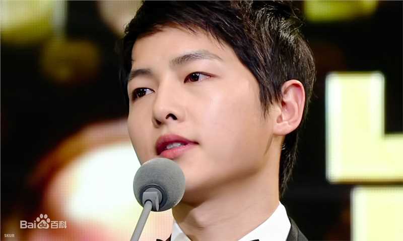 宋仲基(Song Joong Ki)KBS演技大赏（2012）性感图片图集