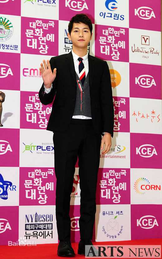 宋仲基(Song Joong Ki)大韩民国文化演艺大奖(2012)图册