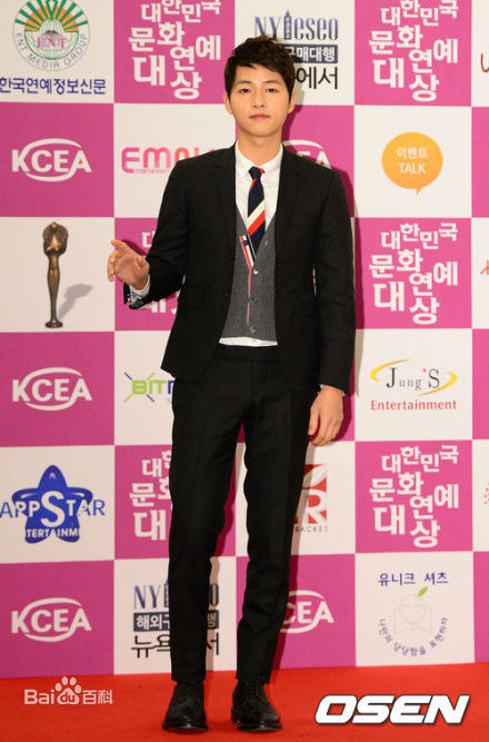 宋仲基(Song Joong Ki)大韩民国文化演艺大奖(2012)图册