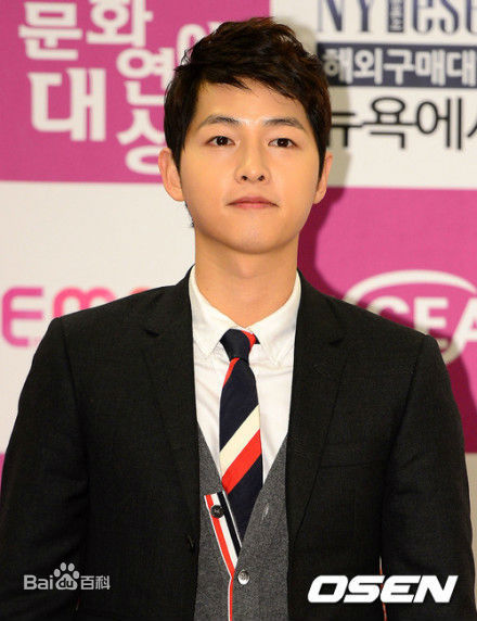 宋仲基(Song Joong Ki)大韩民国文化演艺大奖(2012)图册